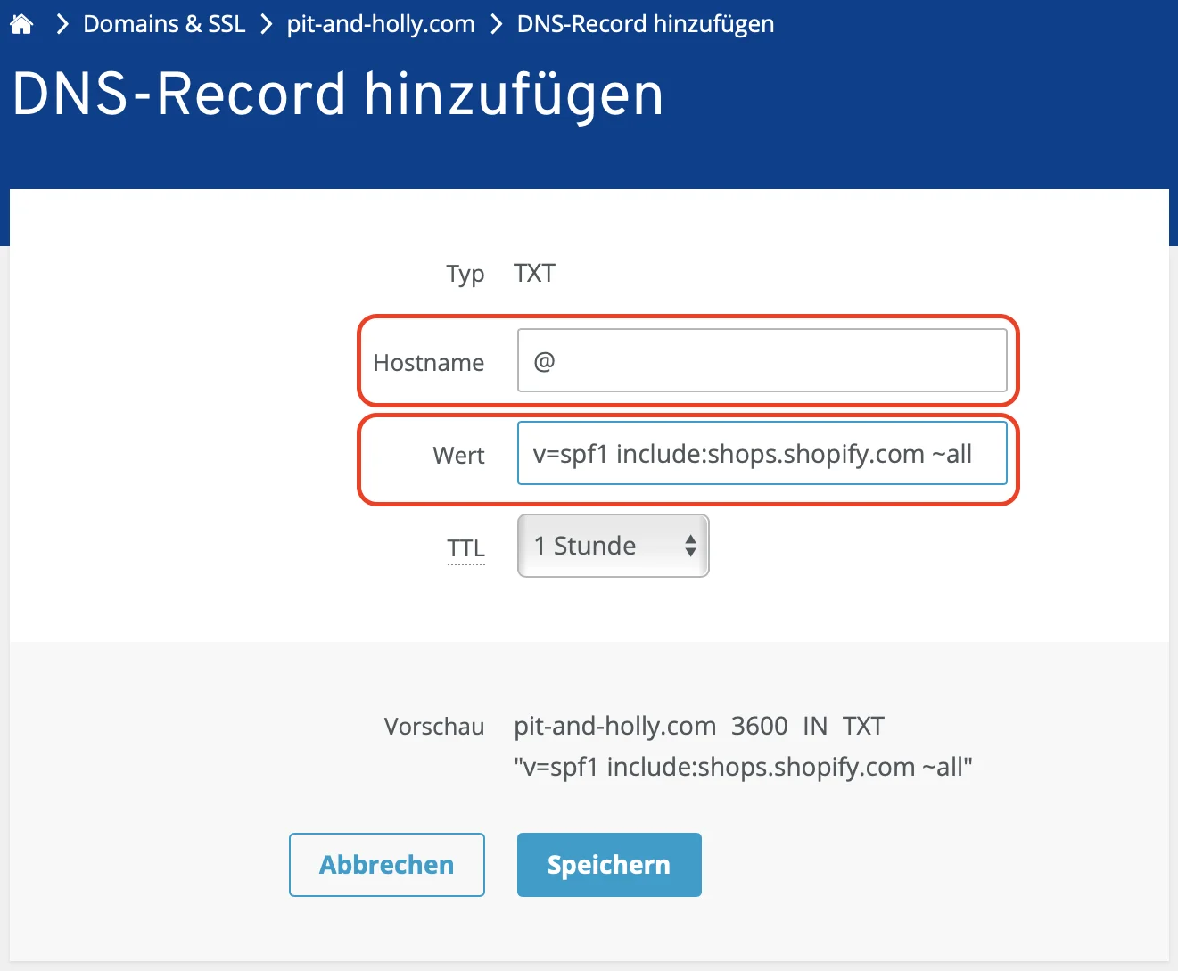 Screenshot DNS-Record hinzufügen ausgefüllt